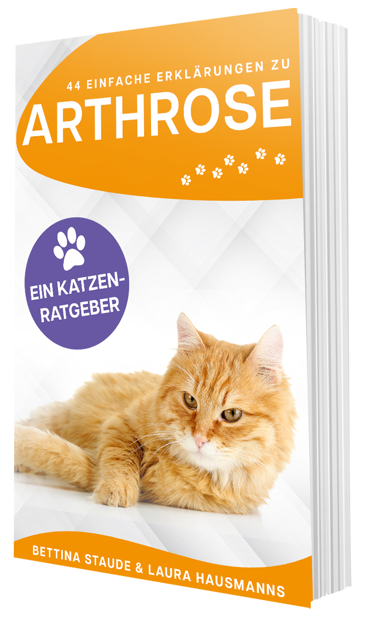 Cover: 44 einfache Erklärungen zu Arthrose – Katzenratgeber