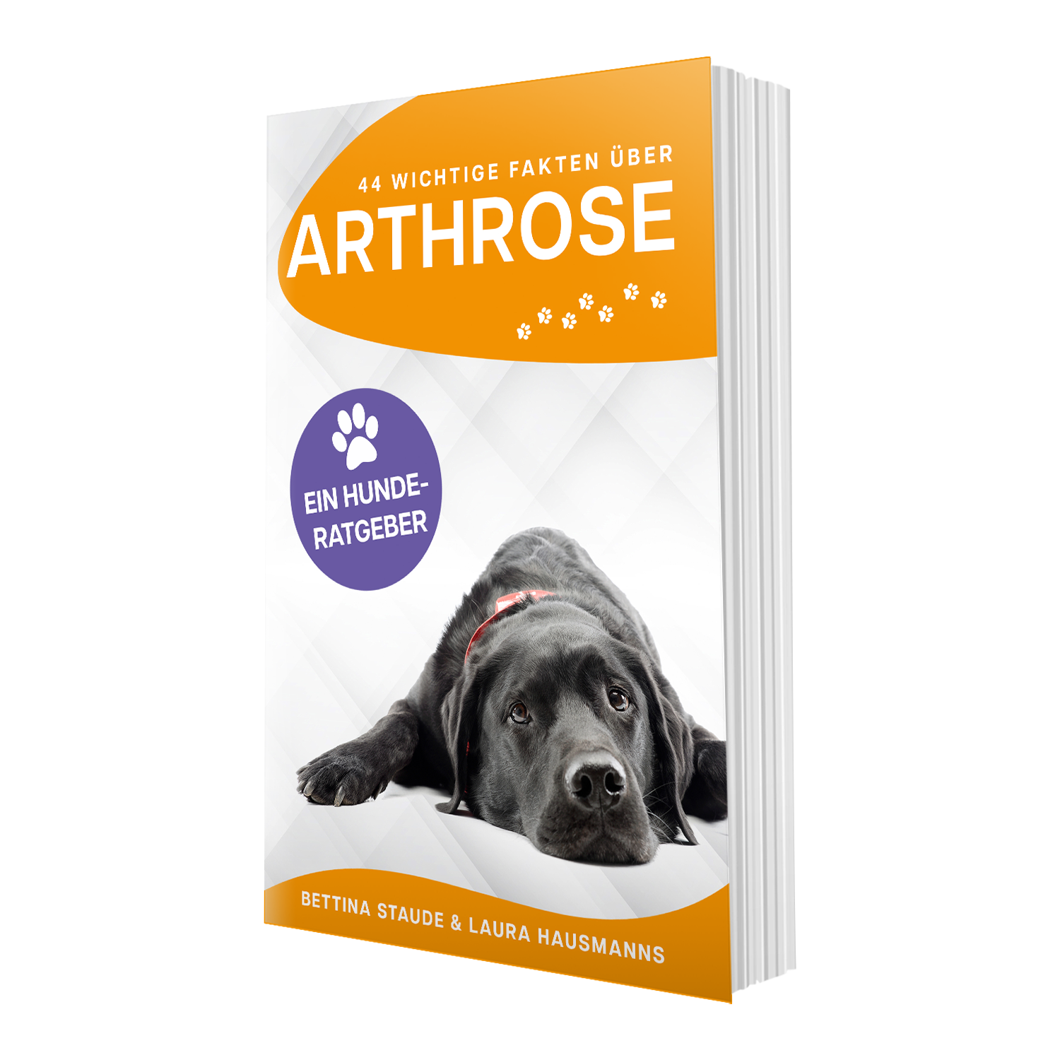 Cover: 44 wichtige Fakten über Arthrose – Hunderatgeber